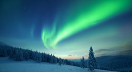 Odyssée Blanche en Laponie suédoise