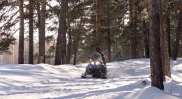 Noël féerique en terres polaires