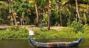 Des plantations du Kerala aux temples tamouls
