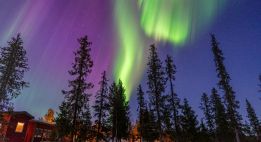 Odyssée Blanche en Laponie suédoise