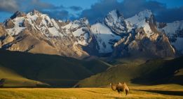 Des steppes kirghizes aux sommets du Pamir