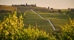 From Tuscany to the Cinque Terre
