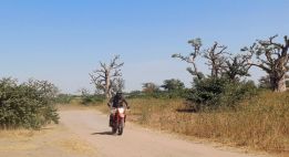 Savane, fleuve et plages du Sénégal