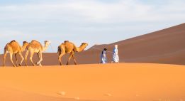 Grande traversée du Maroc sauvage