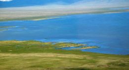 Immersion nomade dans la vallée d’Altyn