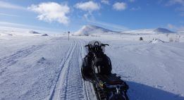 Immersion polaire en Laponie suédoise