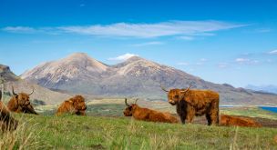 Sur les routes des Highlands