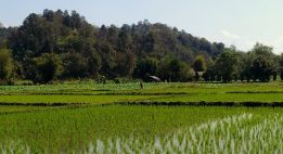 Explorez les pistes sacrée du royaume de Lanna