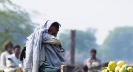 Rajasthan à moto, sur les routes des Maharajas