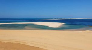 Trois pays entre safari et océan Indien