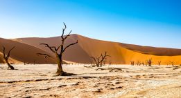 Grande traversée du désert namibien