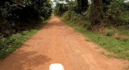 Au cœur des terres vivantes du sud Togo