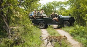 Eco-Responsible Adventure in Mozambique