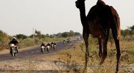 Sur les traces des Maharajas