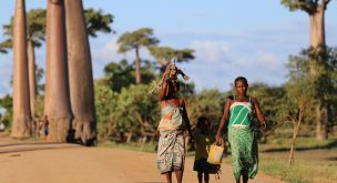 Madagascar, l’île aux pistes rouges