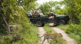 Aventure éco-responsable au Mozambique