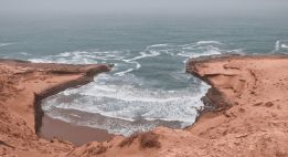 Entre arganiers et reliefs du sud marocain