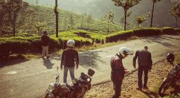 Temples tamouls et jungle du Tamil Nadu