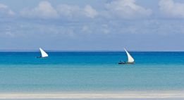 Trois pays entre safari et océan Indien