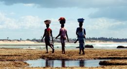 Des îles mozambicaines au lac Niassa