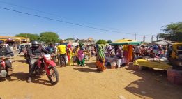 Savane, fleuve et plages du Sénégal