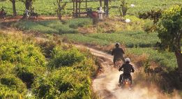 Sur les routes mythiques du Triangle d’Or