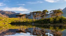 Du Connemara au sentier des Gobbins
