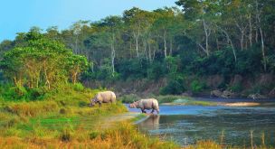 Des rhinocéros du Chitwan aux portes du Mustang