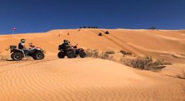 Cap sur les dunes du Sud tunisien