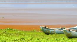 Ceylan, l’île aux mille visages à moto