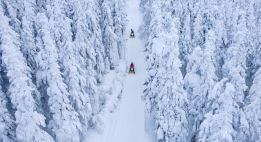 Entre fjord et forêts boréales du Québec