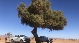 Expédition dans l’infini saharien