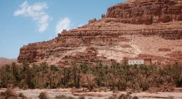 Entre arganiers et reliefs du sud marocain
