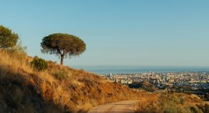 Trail adventure in the land of the Sardinians