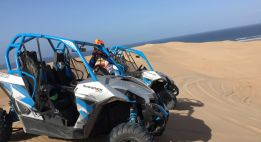 Les dunes infinies de la côte Atlantique