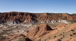 Sur les traces des condors andins