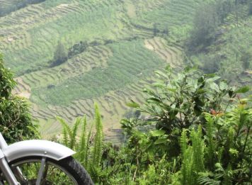 Produit Du toit de l’Himalaya à la jungle népalaise Image
