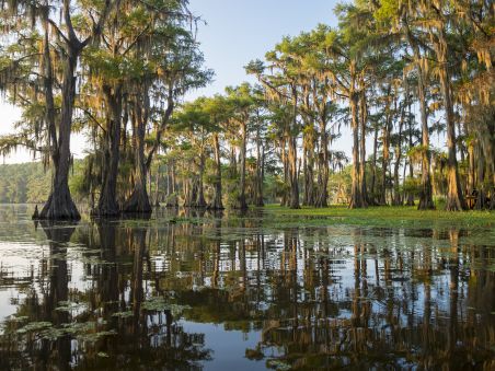 Produit Les trésors de la Louisiane à moto Image