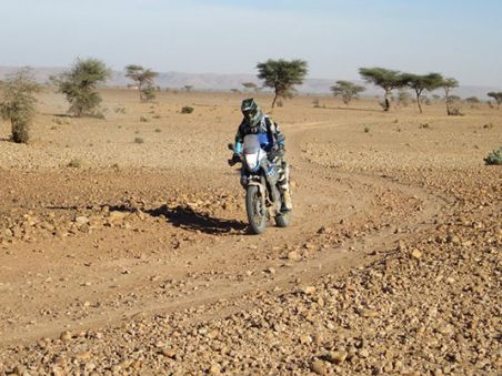 Produit Entre Atlas et désert marocain Image