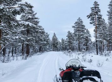 Produit Sous les aurores du nord suédois Image