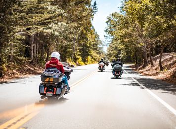 Produit De Yellowstone aux grands parcs du nord Image