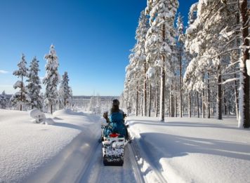 Produit Noël féerique en terres polaires Image