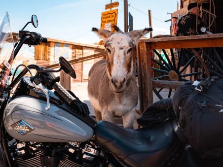 Produit L'Ouest de la Route 66 Image