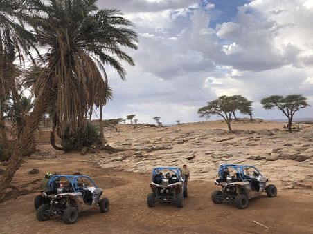 Produit Les dunes infinies de la côte Atlantique Image
