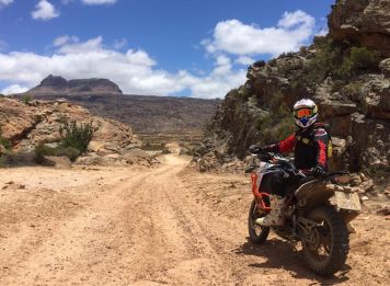 Produit Sur les pistes sauvages d’Afrique du Sud Image