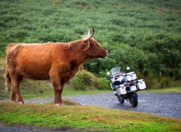 Produit L’Écosse au fil des lochs Image
