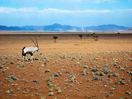 Produit Du Cap au désert du Namib Image