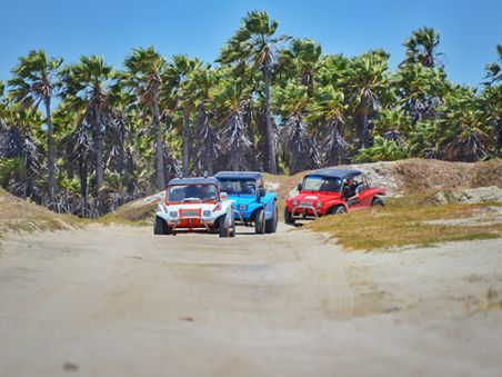 Produit À l’assaut des dunes du Nordeste Image