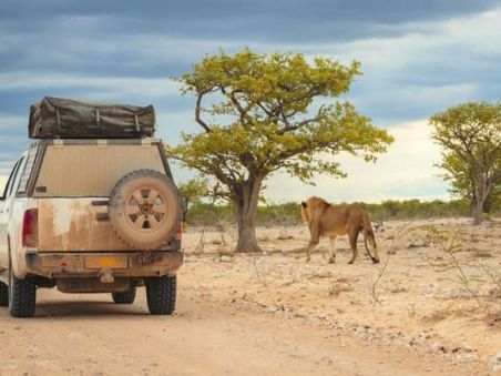 Produit Trois pays entre safari et océan Indien Image