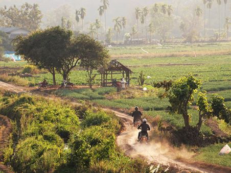 Product On the Legendary Roads of the Golden Triangle Image